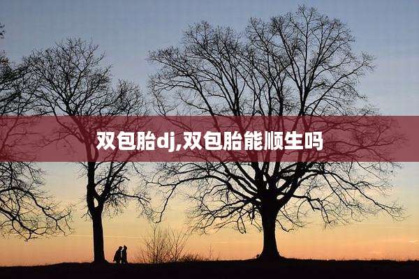 双包胎dj,双包胎能顺生吗