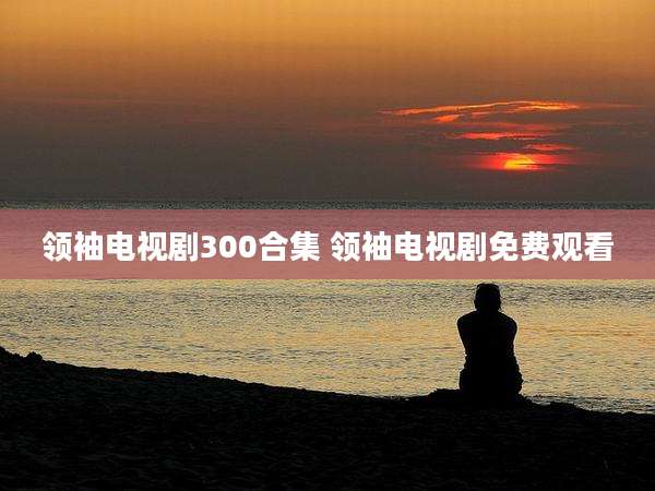 领袖电视剧300合集 领袖电视剧免费观看