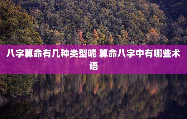 八字算命有几种类型呢 算命八字中有哪些术语