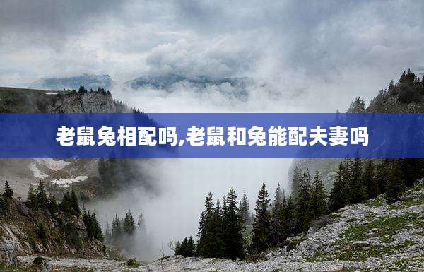 老鼠兔相配吗,老鼠和兔能配夫妻吗