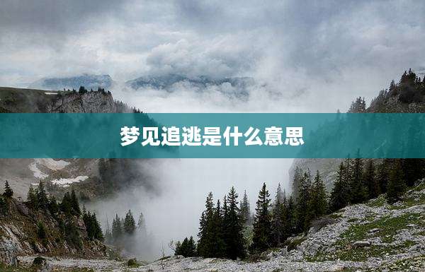 梦见追逃是什么意思