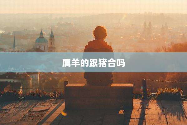属羊的跟猪合吗