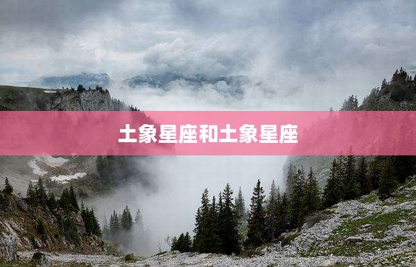 土象星座和土象星座