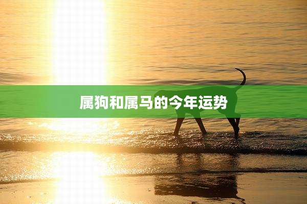 属狗和属马的今年运势