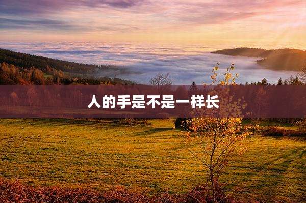 人的手是不是一样长