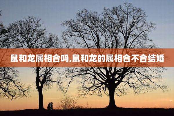 鼠和龙属相合吗,鼠和龙的属相合不合结婚