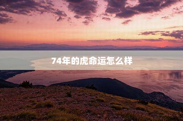74年的虎命运怎么样
