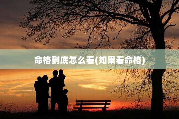 命格到底怎么看(如果看命格)