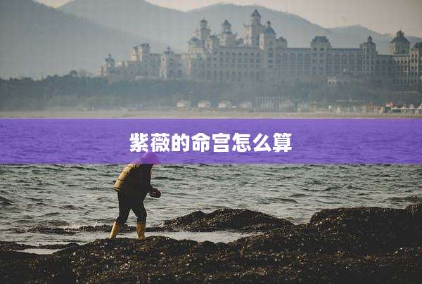 紫薇的命宫怎么算