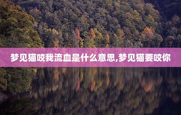 梦见猫咬我流血是什么意思,梦见猫要咬你