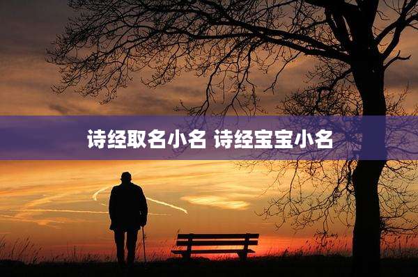诗经取名小名 诗经宝宝小名