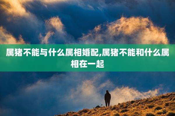 属猪不能与什么属相婚配,属猪不能和什么属相在一起