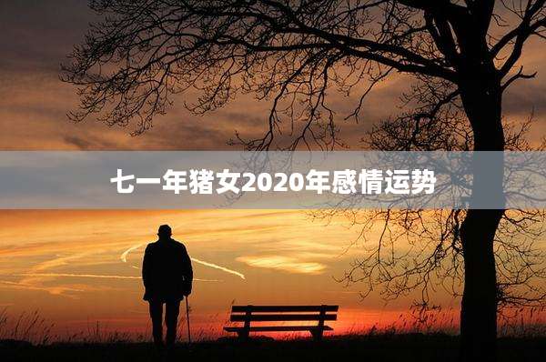 七一年猪女2020年感情运势