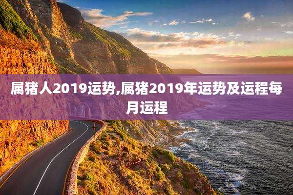 属猪人2019运势,属猪2019年运势及运程每月运程