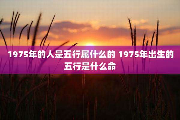 1975年的人是五行属什么的 1975年出生的五行是什么命