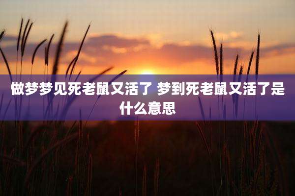 做梦梦见死老鼠又活了 梦到死老鼠又活了是什么意思