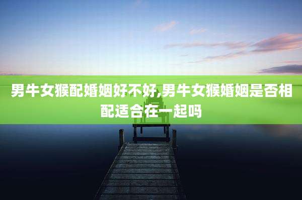 男牛女猴配婚姻好不好,男牛女猴婚姻是否相配适合在一起吗
