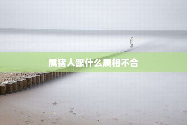 属猪人跟什么属相不合