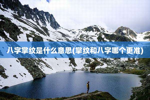 八字掌纹是什么意思(掌纹和八字哪个更准)