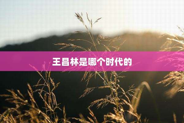 王昌林是哪个时代的