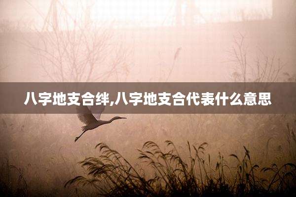 八字地支合绊,八字地支合代表什么意思