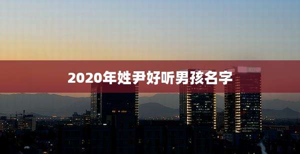 2020年姓尹好听男孩名字