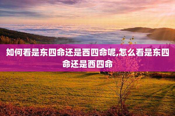 如何看是东四命还是西四命呢,怎么看是东四命还是西四命