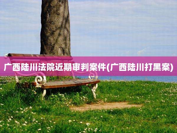 广西陆川法院近期审判案件(广西陆川打黑案)