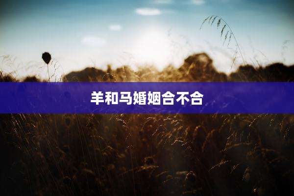 羊和马婚姻合不合