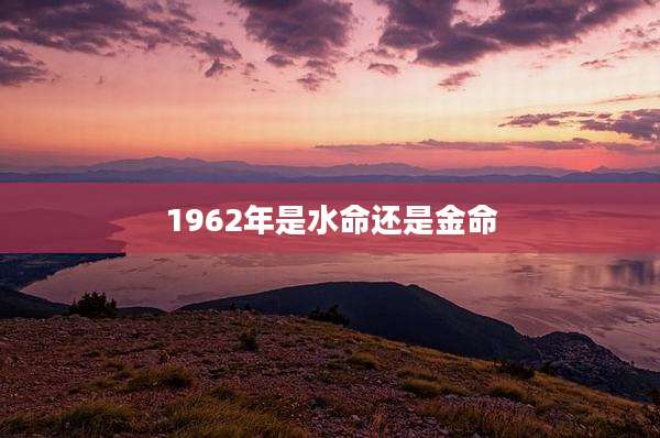 1962年是水命还是金命