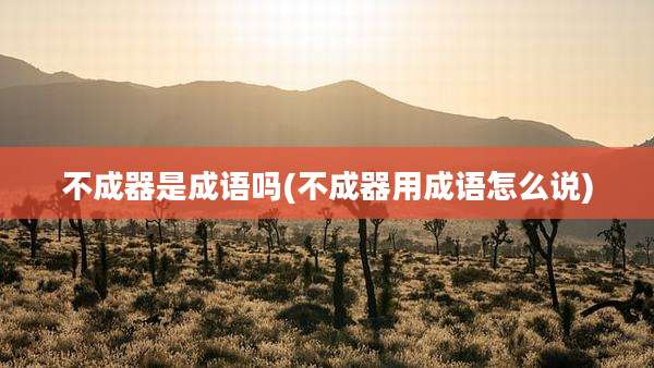 不成器是成语吗(不成器用成语怎么说)