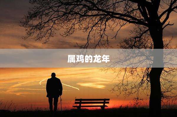 属鸡的龙年