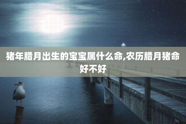 猪年腊月出生的宝宝属什么命,农历腊月猪命好不好