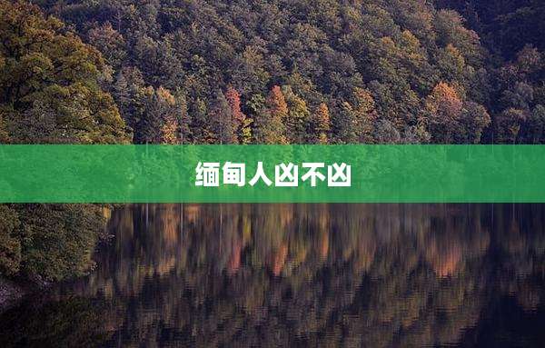 缅甸人凶不凶