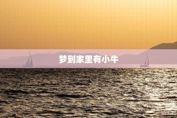 梦到家里有小牛