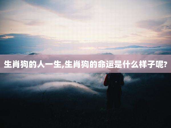 生肖狗的人一生,生肖狗的命运是什么样子呢?