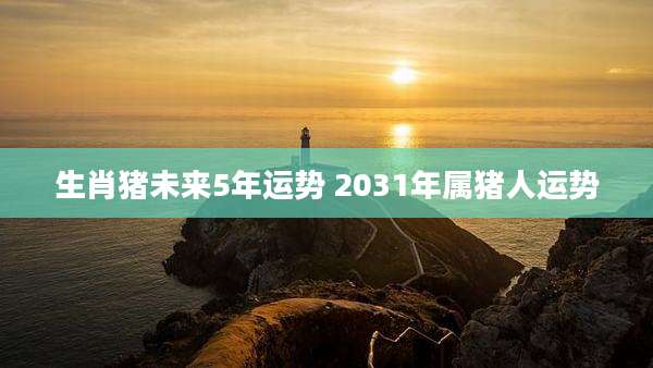 生肖猪未来5年运势 2031年属猪人运势