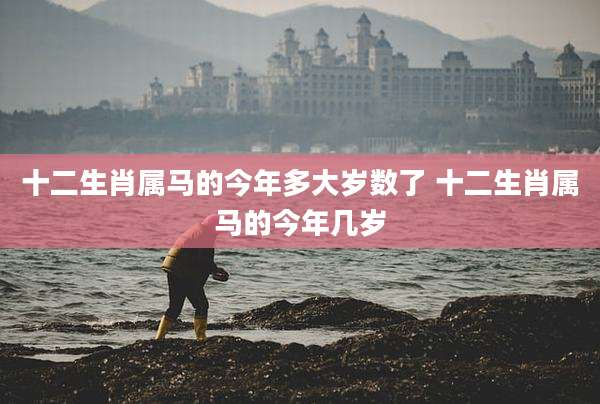 十二生肖属马的今年多大岁数了 十二生肖属马的今年几岁