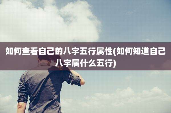 如何查看自己的八字五行属性(如何知道自己八字属什么五行)