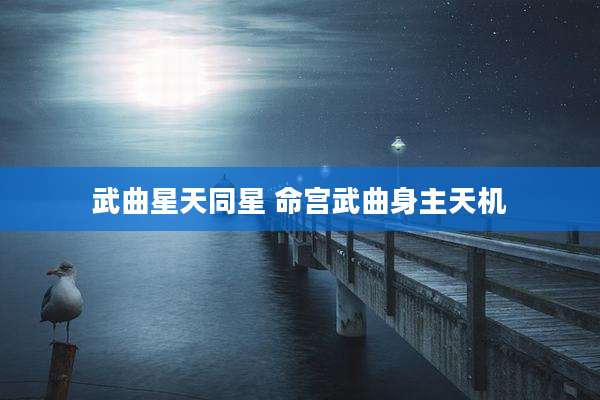 武曲星天同星 命宫武曲身主天机