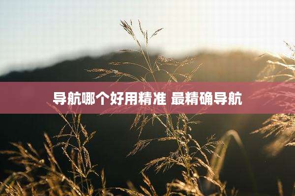 导航哪个好用精准 最精确导航