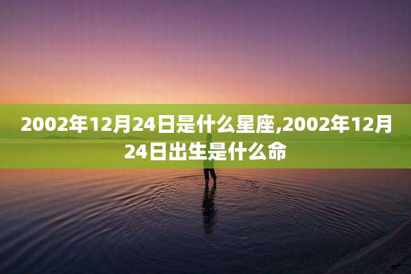 2002年12月24日是什么星座,2002年12月24日出生是什么命