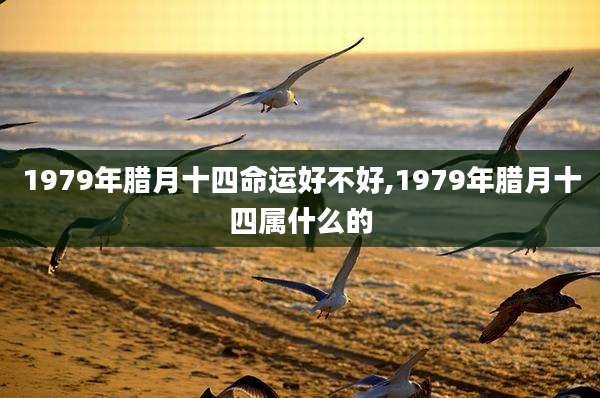 1979年腊月十四命运好不好,1979年腊月十四属什么的
