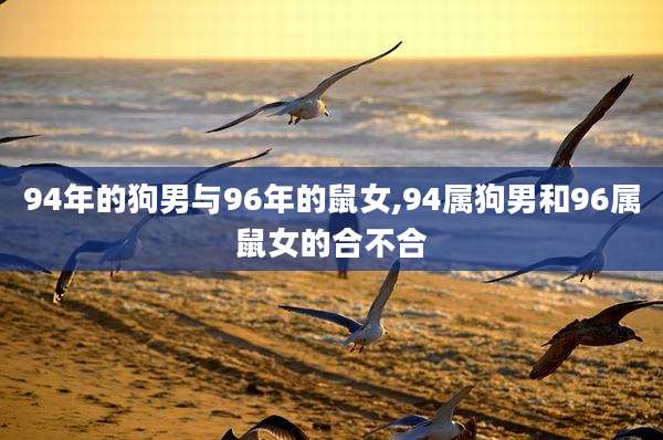 94年的狗男与96年的鼠女,94属狗男和96属鼠女的合不合