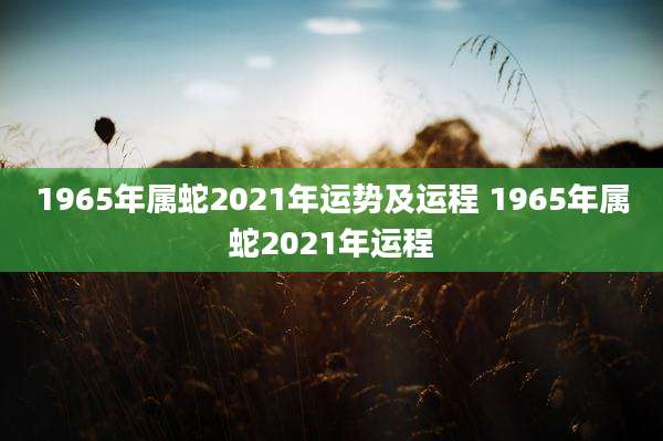 1965年属蛇2021年运势及运程 1965年属蛇2021年运程