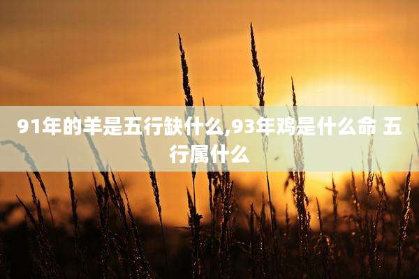 91年的羊是五行缺什么,93年鸡是什么命 五行属什么