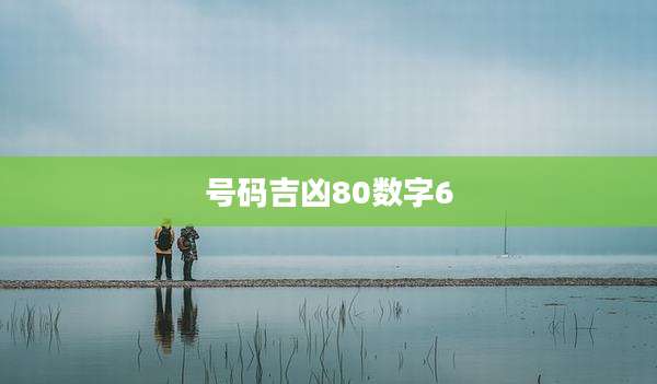 号码吉凶80数字6