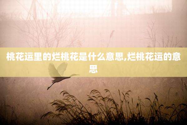 桃花运里的烂桃花是什么意思,烂桃花运的意思