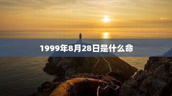 1999年8月28日是什么命