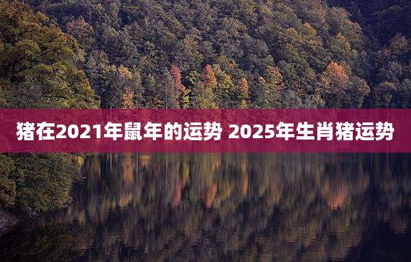猪在2021年鼠年的运势 2025年生肖猪运势